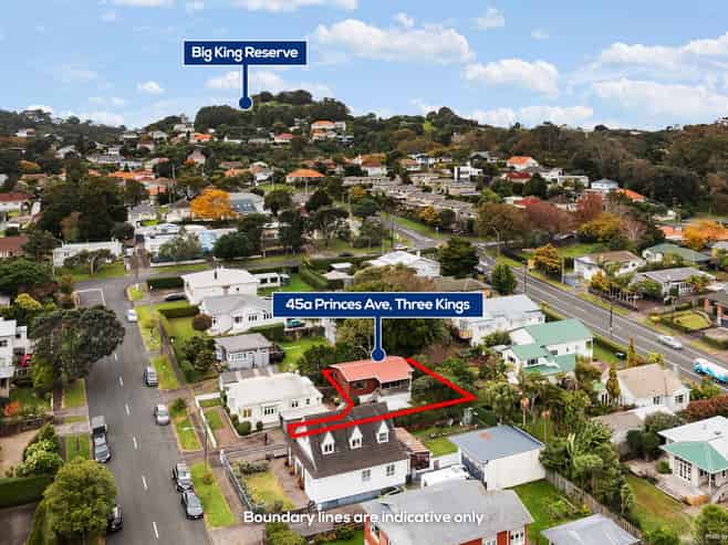 45A Princes Avenue, Three Kings