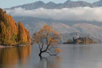 Premium Wanaka Hospitality