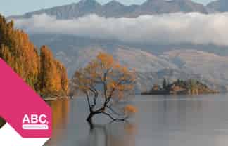 Premium Wanaka Hospitality