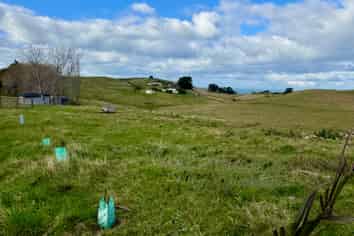 54a or 54b Tenby, MOERAKI