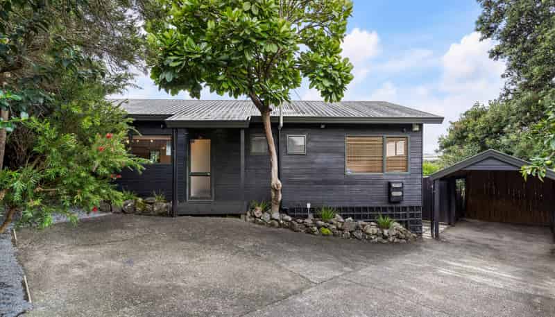 57B Herdman Street, Waterview