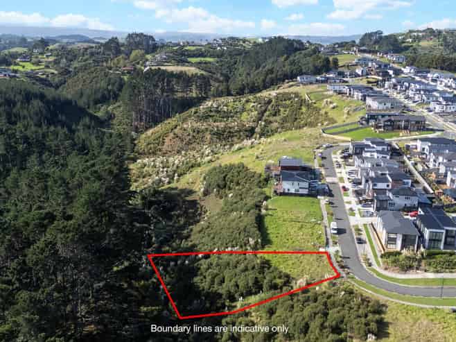 10 Bremner Ridge Street, Flat Bush