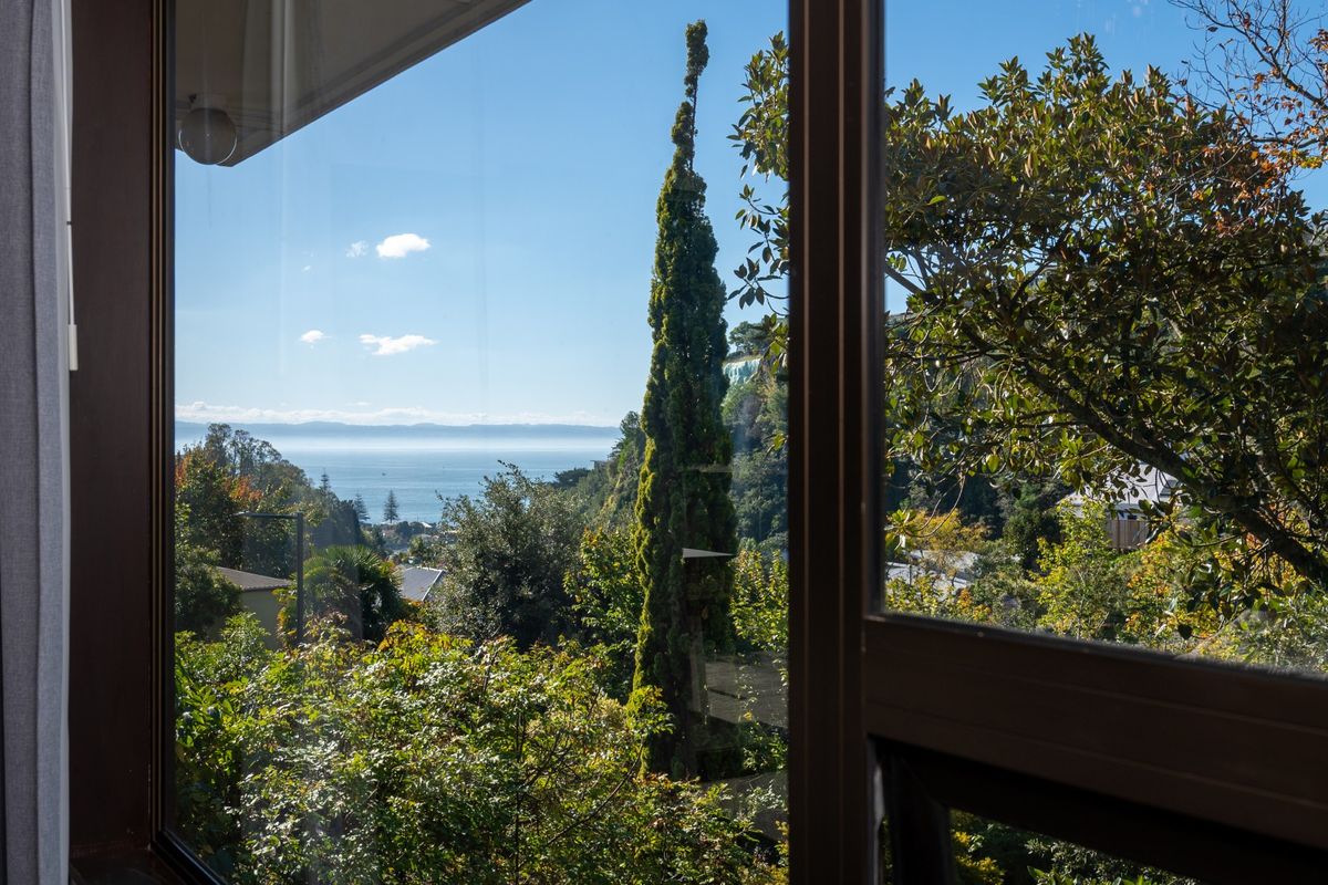 Hidden secret on Milton Road, Bluff Hill - Mehr