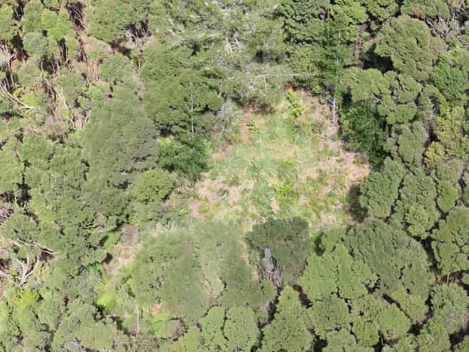  Te Wahapu Road, Russell