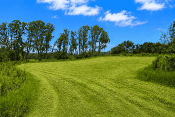 1170 Kaiwaka-Mangawhai Road, Mangawhai