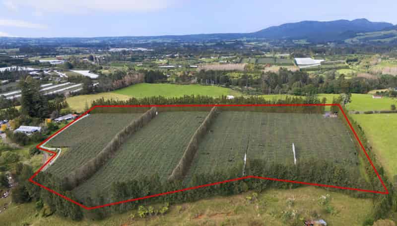 168 Henry Road, Katikati