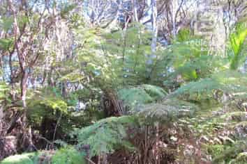 537B Tuateawa Road, Tuateawa