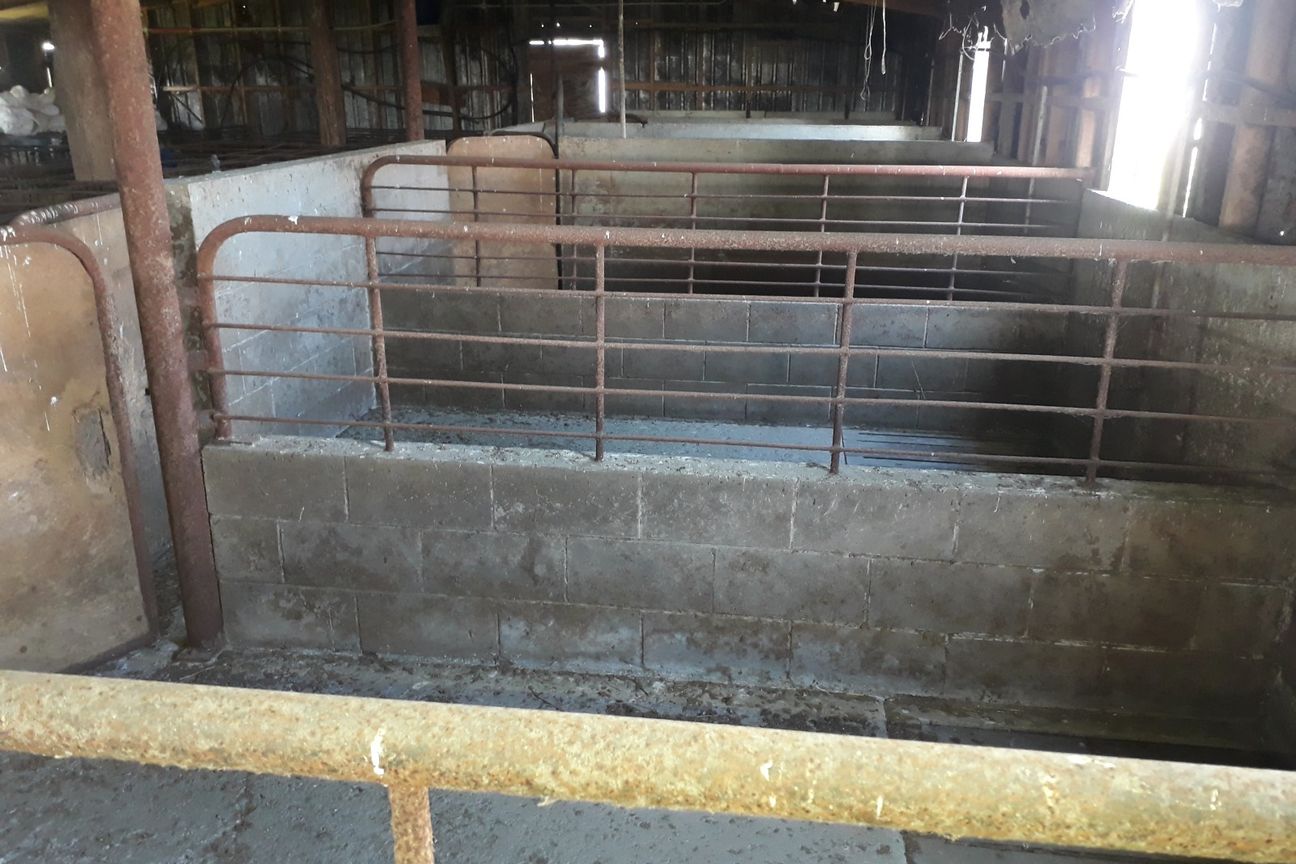 ‘Otepopo Downs’ - Irrigated Productive Unit - View 5