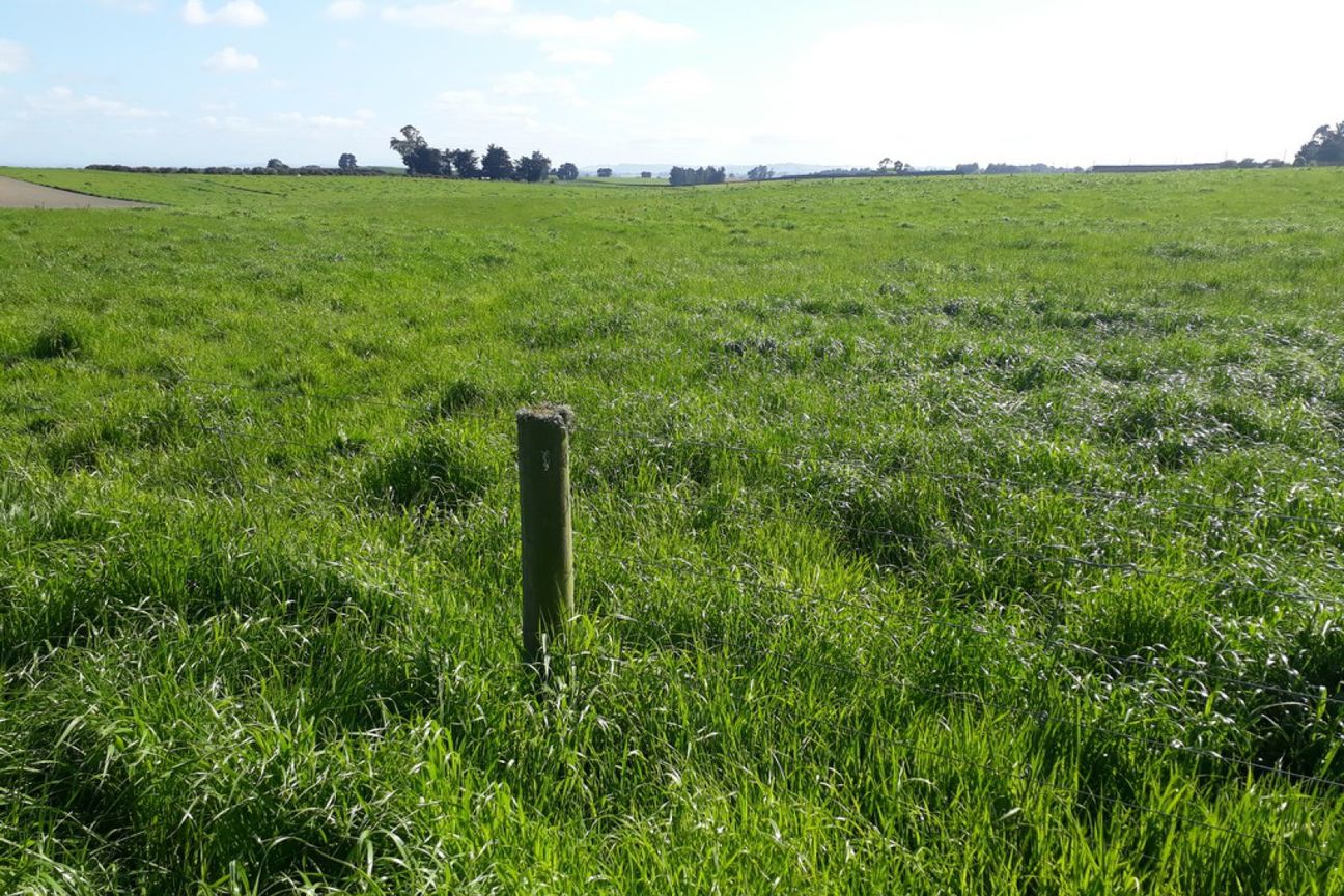 ‘Otepopo Downs’ - Irrigated Productive Unit - More
