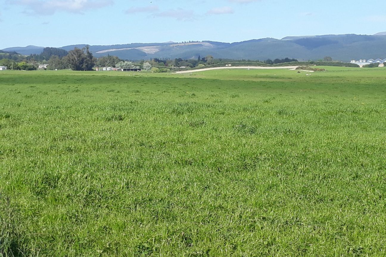 ‘Otepopo Downs’ - Irrigated Productive Unit