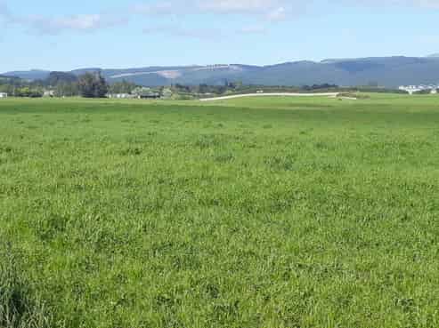  Burgess Road, Herbert