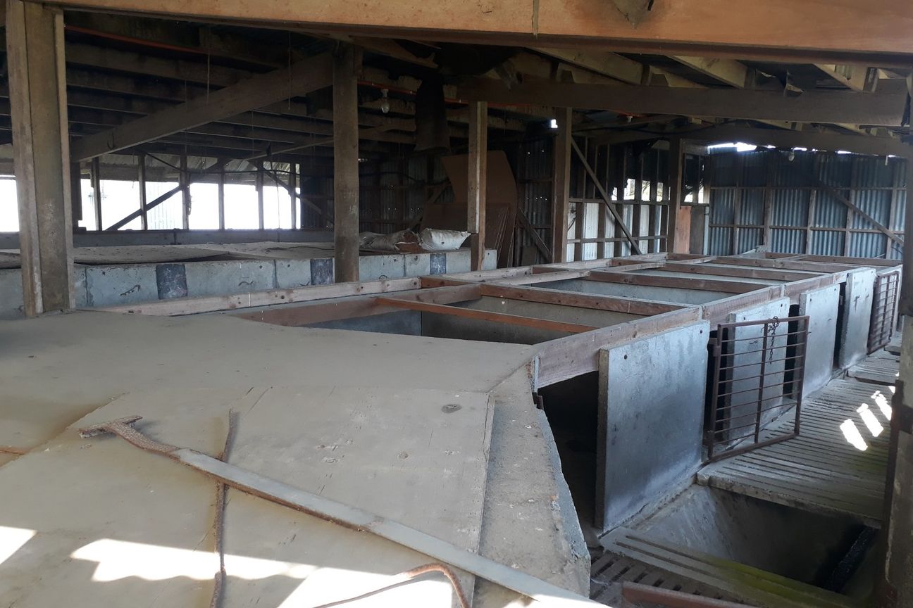 ‘Otepopo Downs’ - Irrigated Productive Unit - View 6