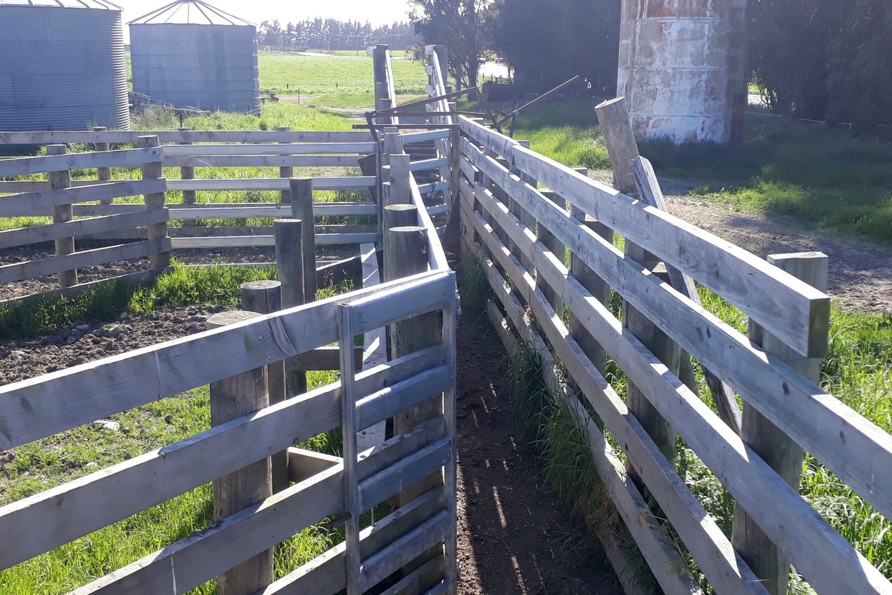 ‘Otepopo Downs’ - Irrigated Productive Unit - View 2