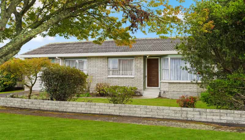 15 Bains Avenue, Hamilton East
