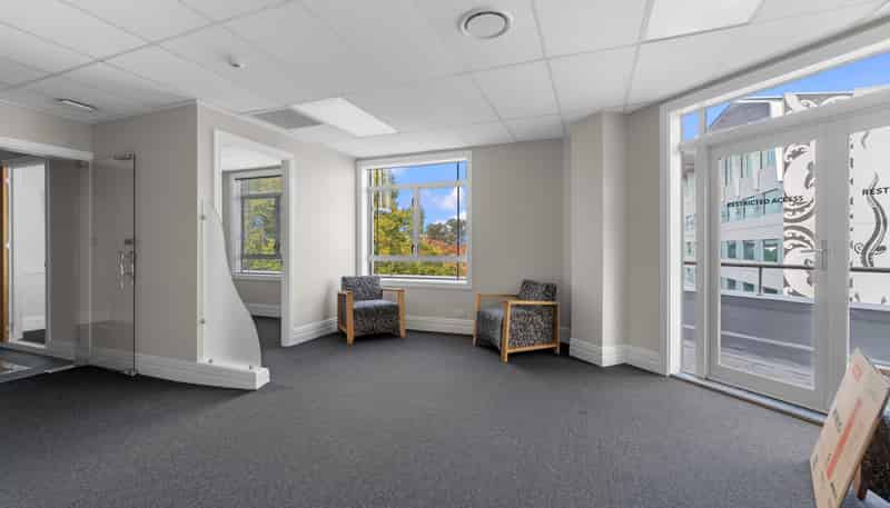 20 Alma Street, Hamilton Central