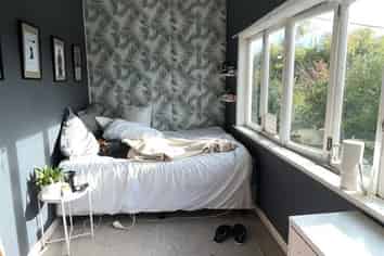13 Gardner Ave, New Lynn