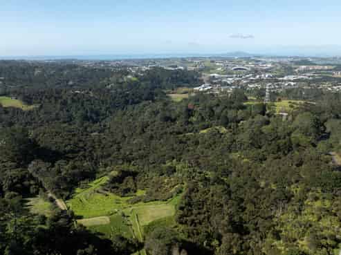 420 Dairy Flat Highway, Albany Heights