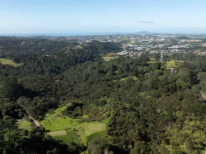 420 Dairy Flat Highway, Albany Heights