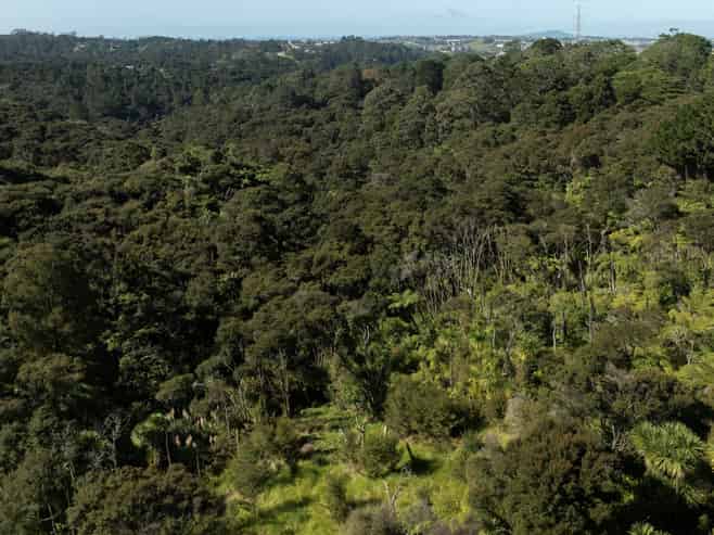 420 Dairy Flat Highway, Albany Heights