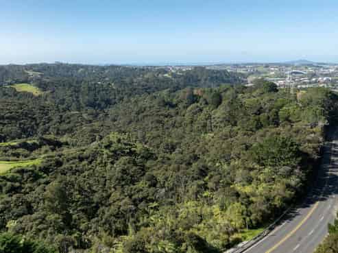 420 Dairy Flat Highway, Albany Heights