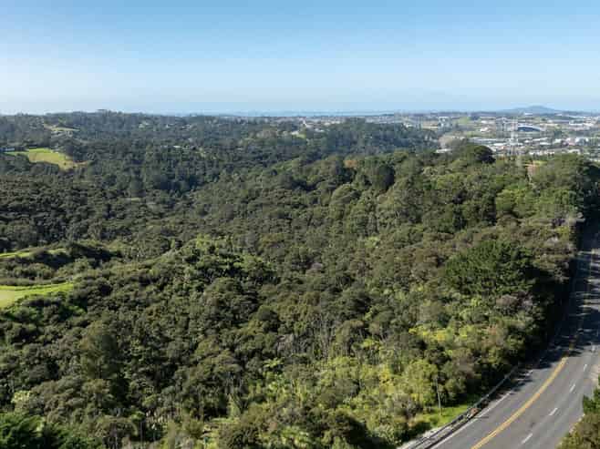 420 Dairy Flat Highway, Albany Heights