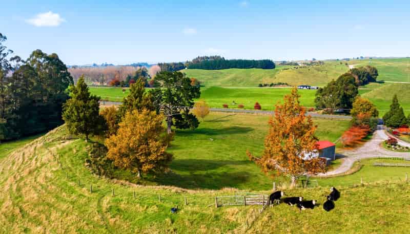 Lot 2, 50 Whangamata Road, Kinloch
