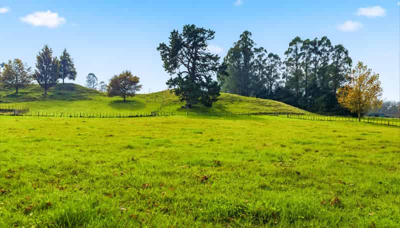 Lot 2, 50 Whangamata Road, Kinloch