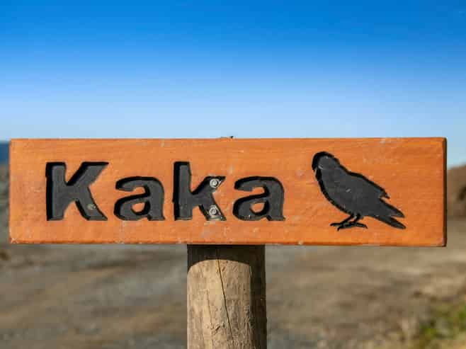 203 Tuhirangi Road, Makarau