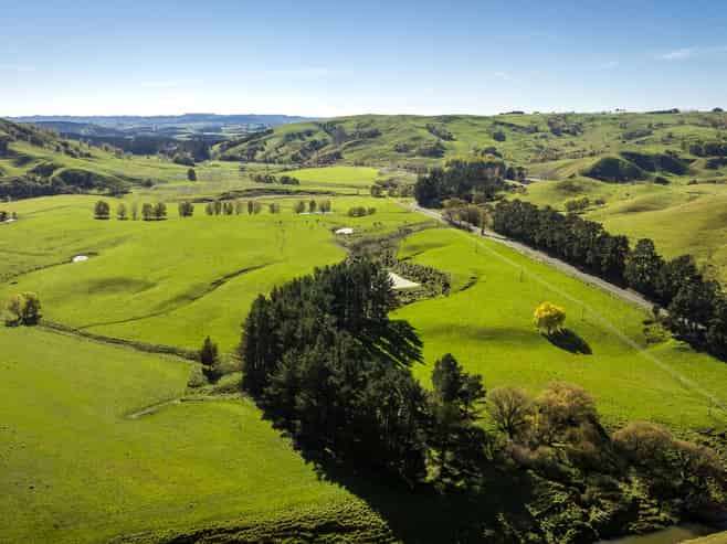 3503 Porangahau Road, Porangahau
