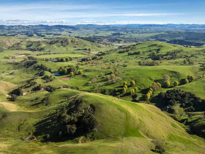 3503 Porangahau Road, Porangahau