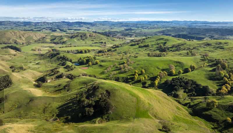 3503 Porangahau Road, Porangahau