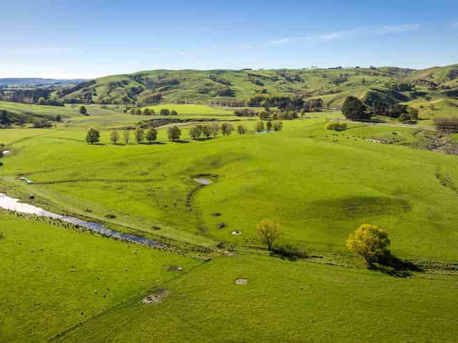 3503 Porangahau Road, Porangahau