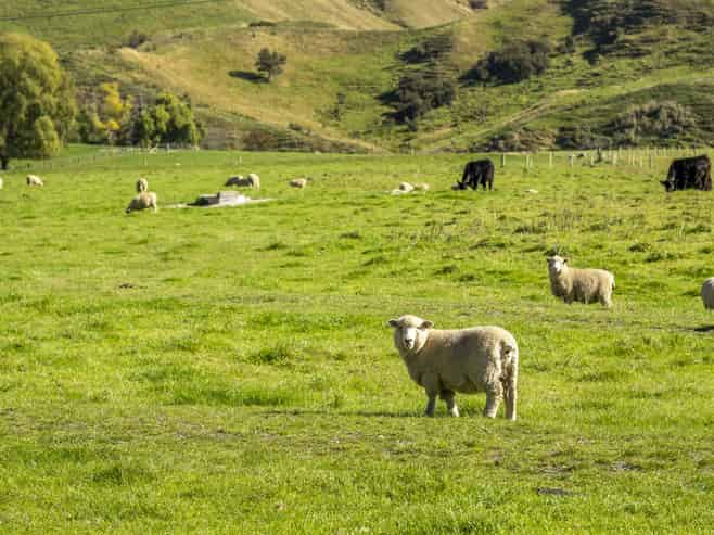 3503 Porangahau Road, Porangahau