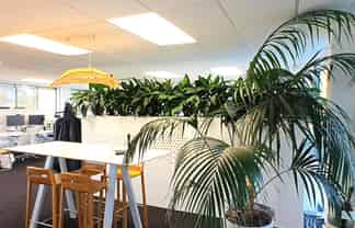 Outstanding Takapuna Office