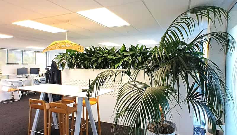 L2, Area C/132 Hurstmere Road, Takapuna