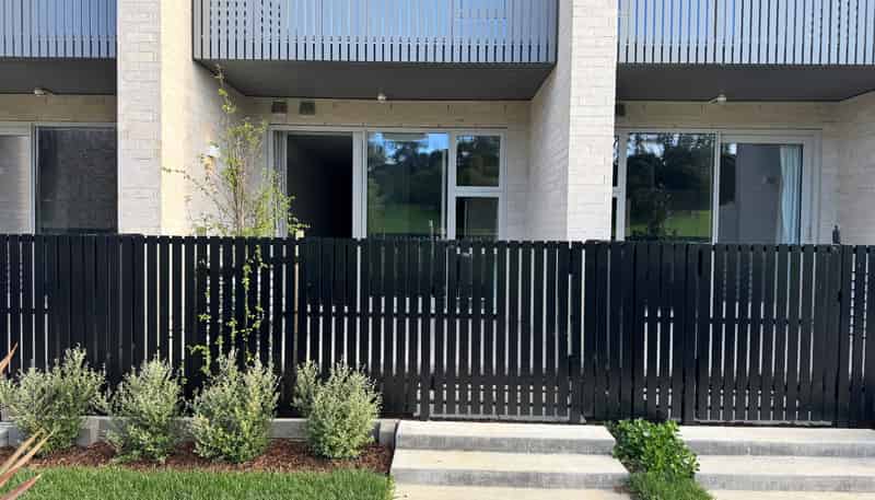 G07/11  Olympus Street, Mount Albert