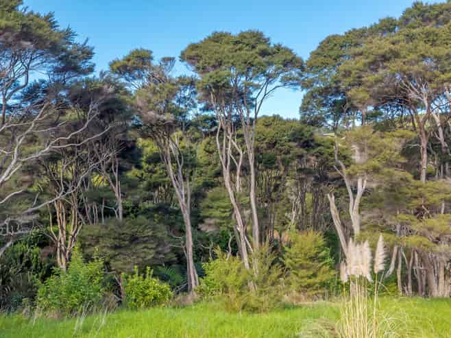 1 George Couldrey Lane, Maraetai