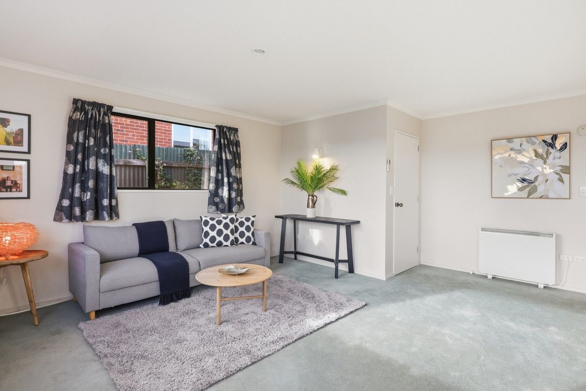 Andersons Bay Surprise Package - Motivated Seller! - Ansicht 6