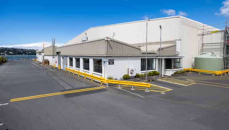 220 Fryatt Street, Dunedin Central