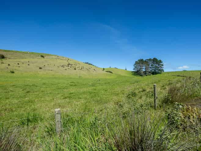 42 Redhill Cemetery Road, Te Kopuru