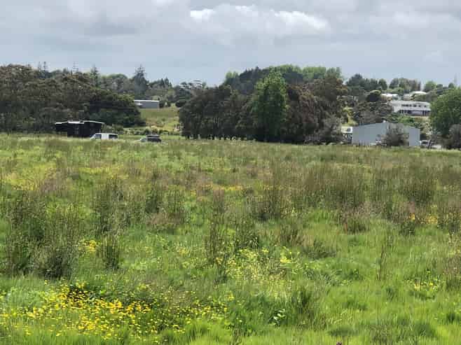 86 Beach Road, Dargaville