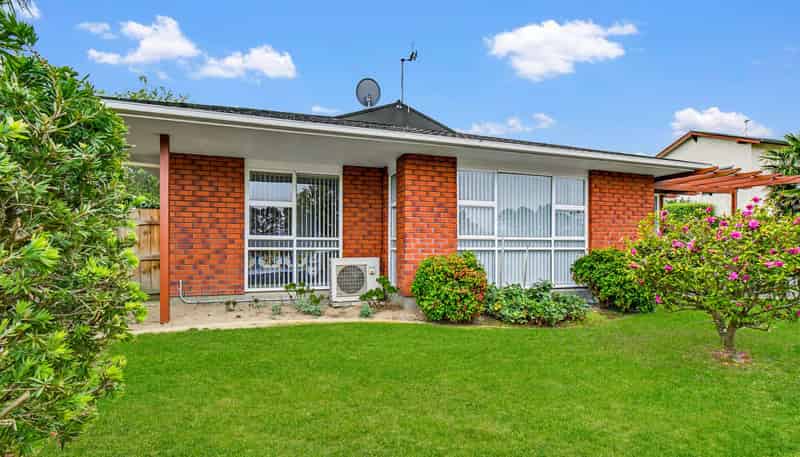 45 Dittmer Drive, Awapuni