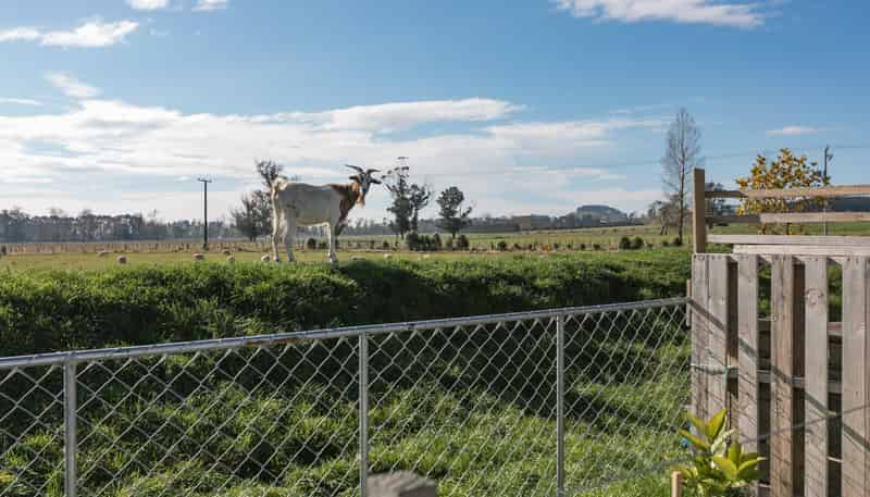 94 Farm Road, Waipukurau