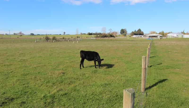 94 Farm Road, Waipukurau