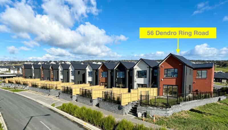 56 Dendro Ring Road, Milldale
