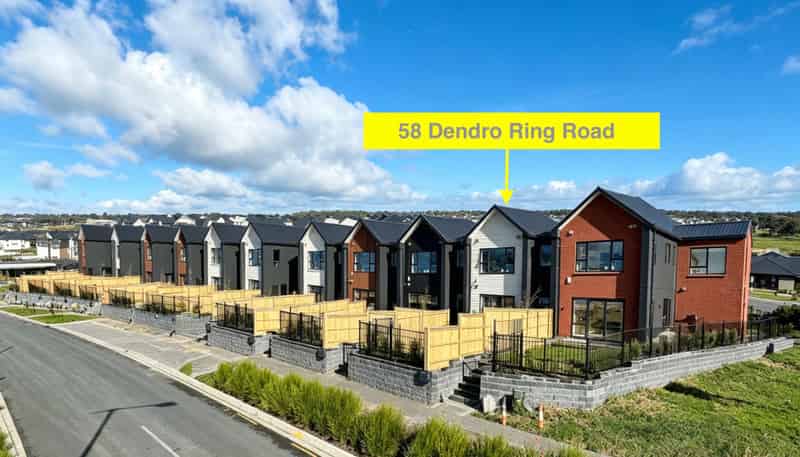 58 Dendro Ring Road, Milldale