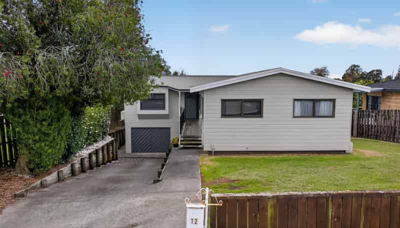 12 Velma Crescent, Nawton