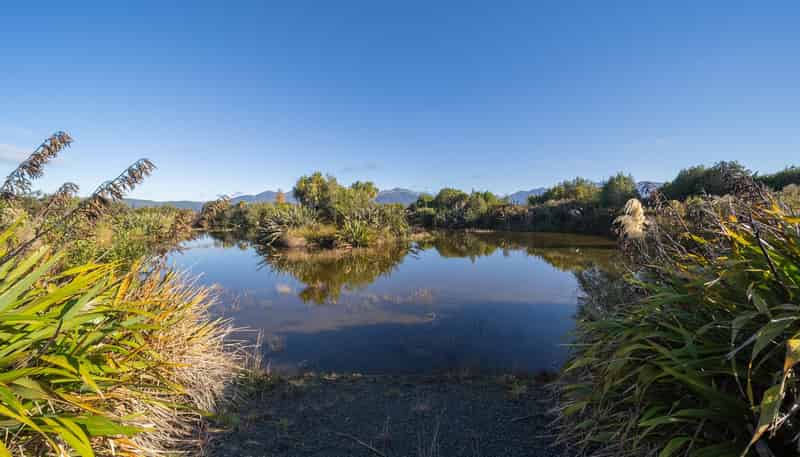 10 Black Lane, Te Anau