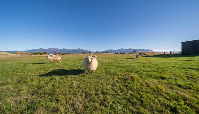 10 Black Lane, Te Anau