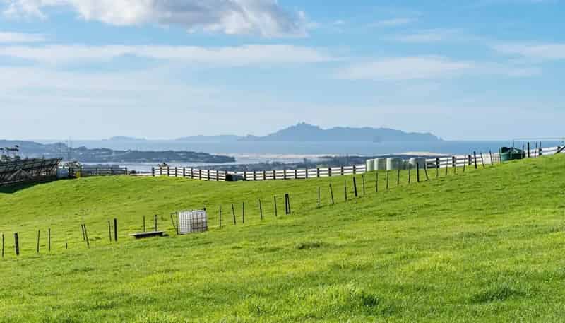 5 Wendy's Lane, Mangawhai